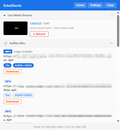 EchoShorts extension popup preview